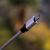 How Edge Computing Supports Real-Time Business Expansion Needs
